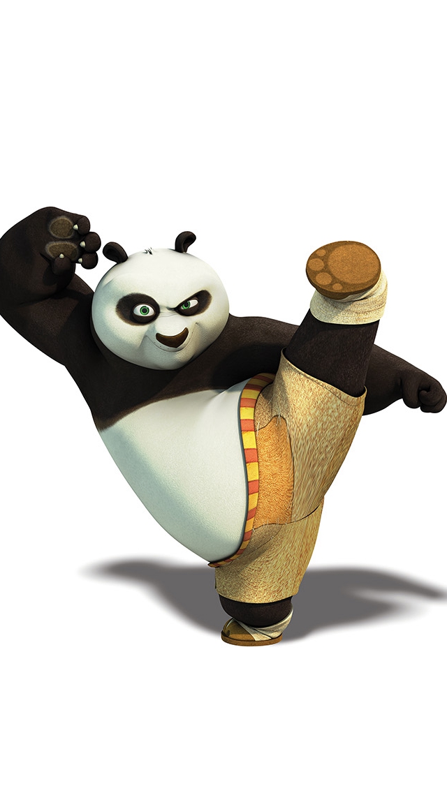 Kungfu Panda Dreamworks Animal Kick Cute Anime (1)