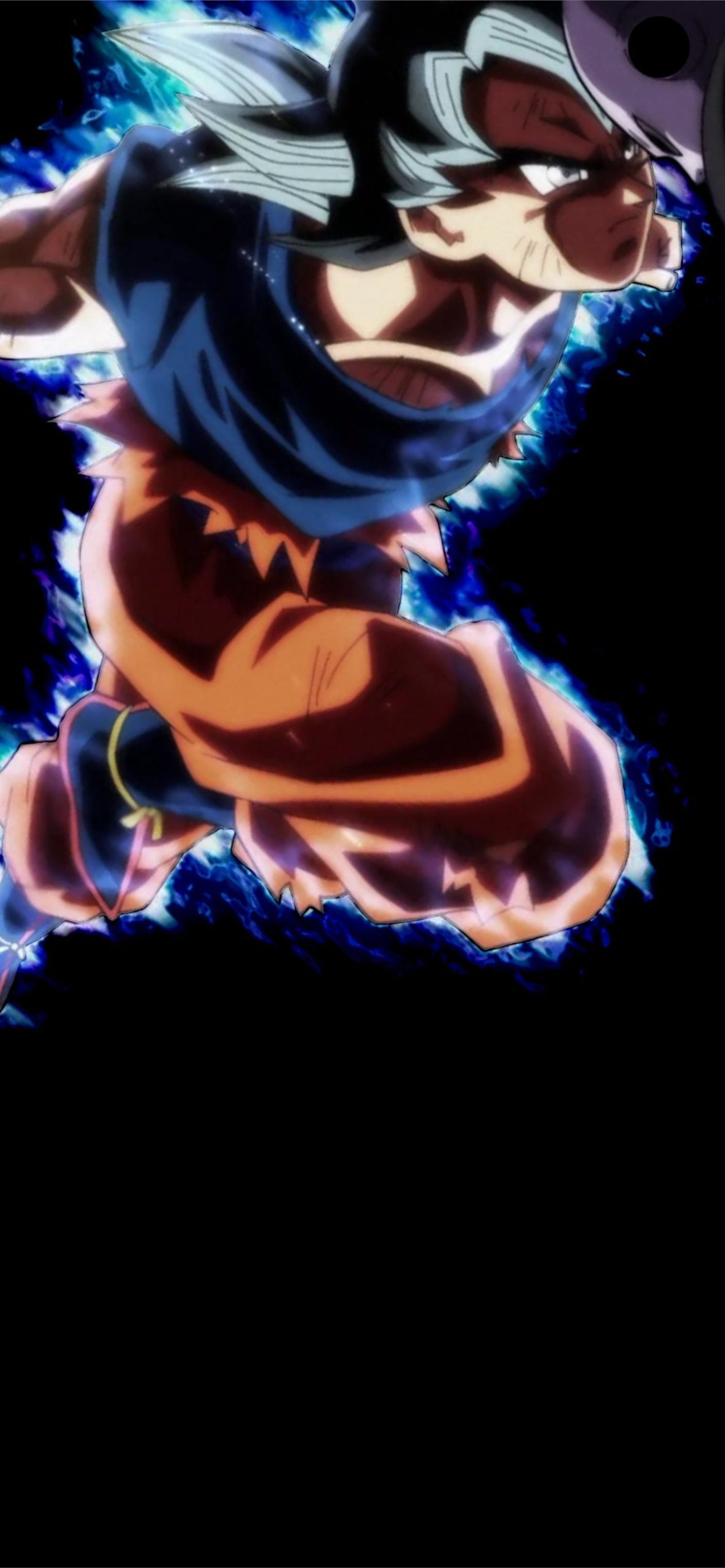 goku ultra instinct (2)