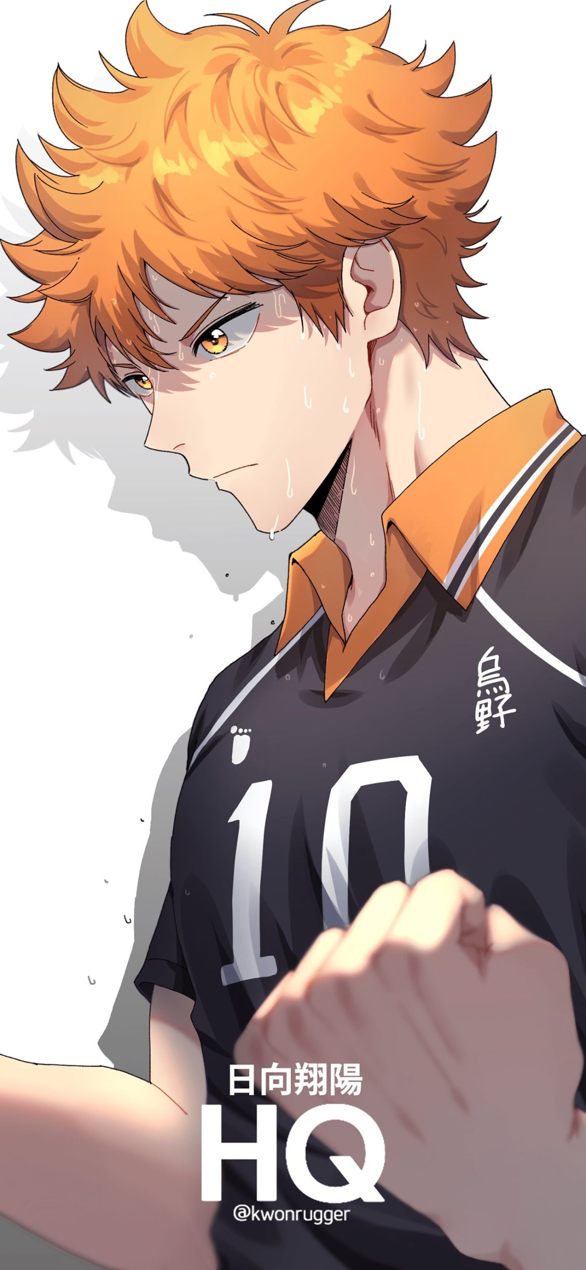 shouyou hinata (1)