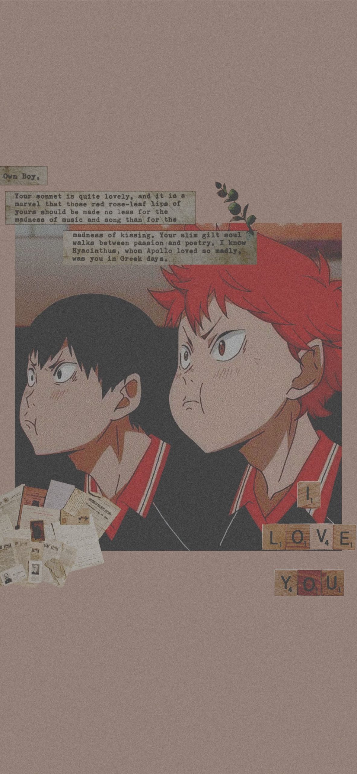 shouyou hinata (4)