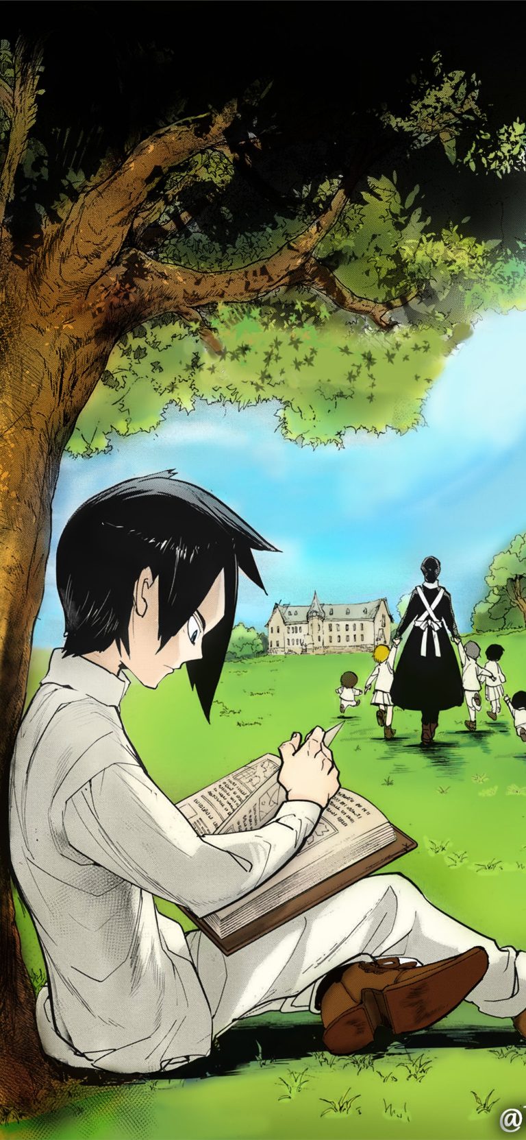 the promised neverland (3)