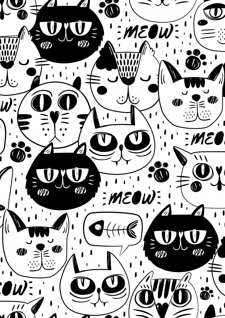 Cat Wallpaper (4)