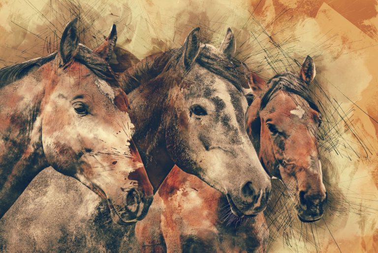 Horse Wallpaper (11)