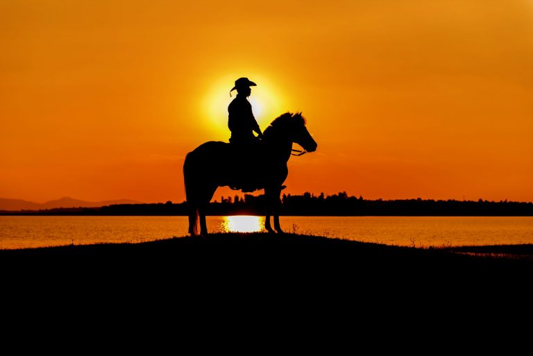 silhouette cowboy on horseback