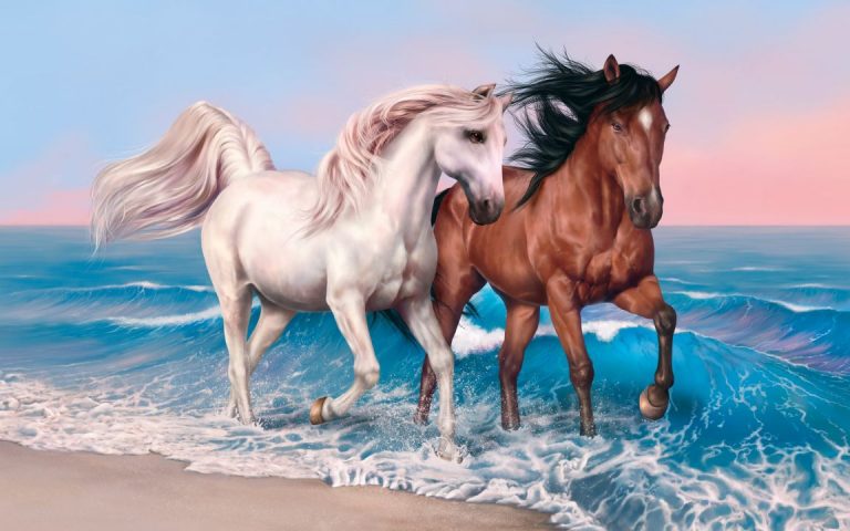 Horse Wallpaper (21)