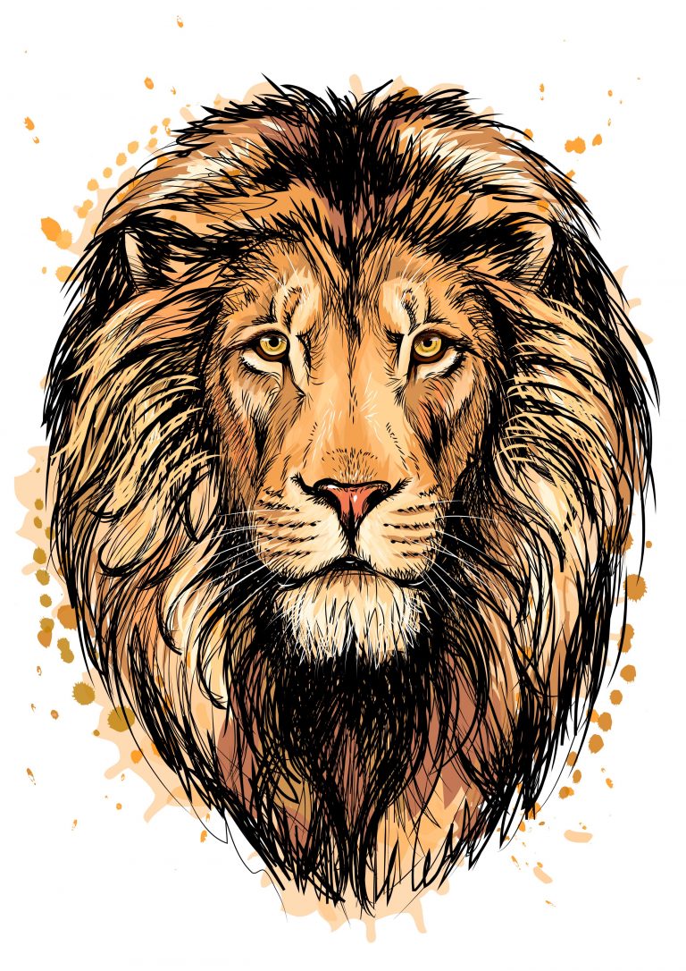 Lion Wallpaper (43)