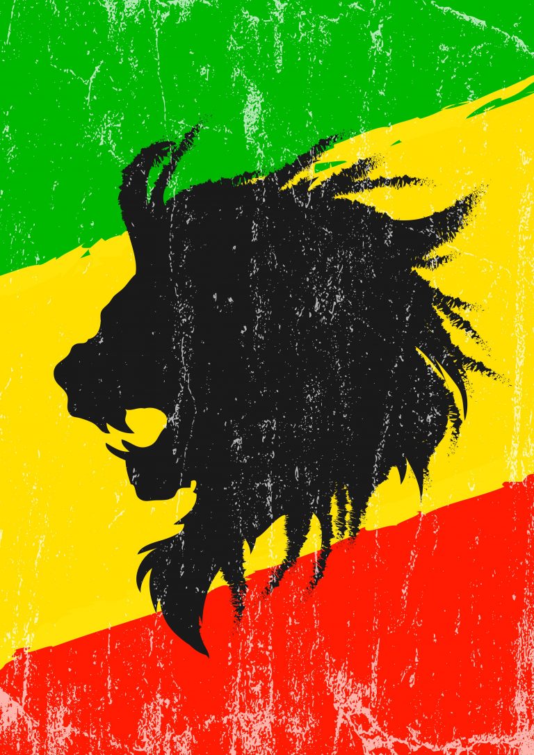 Lion Wallpaper (45)