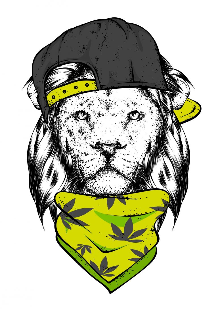 Lion Wallpaper (68)