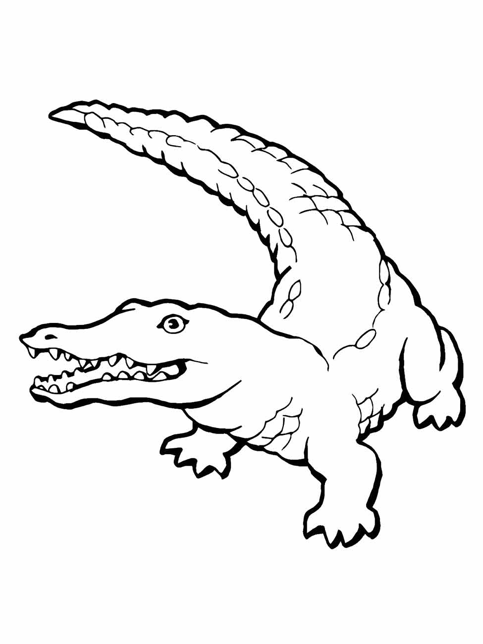 Alligator coloring page (23)