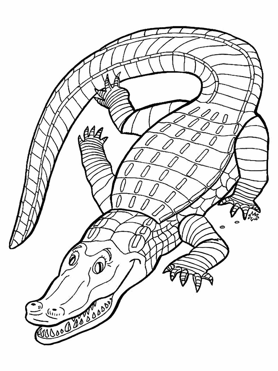 Alligator coloring page (24)