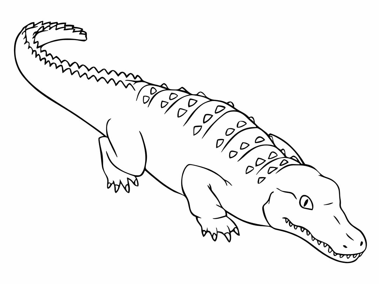 Alligator coloring page (26)