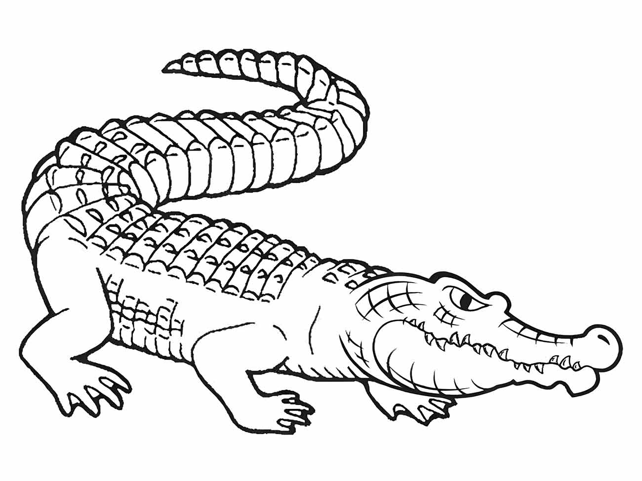 Alligator coloring page (28)