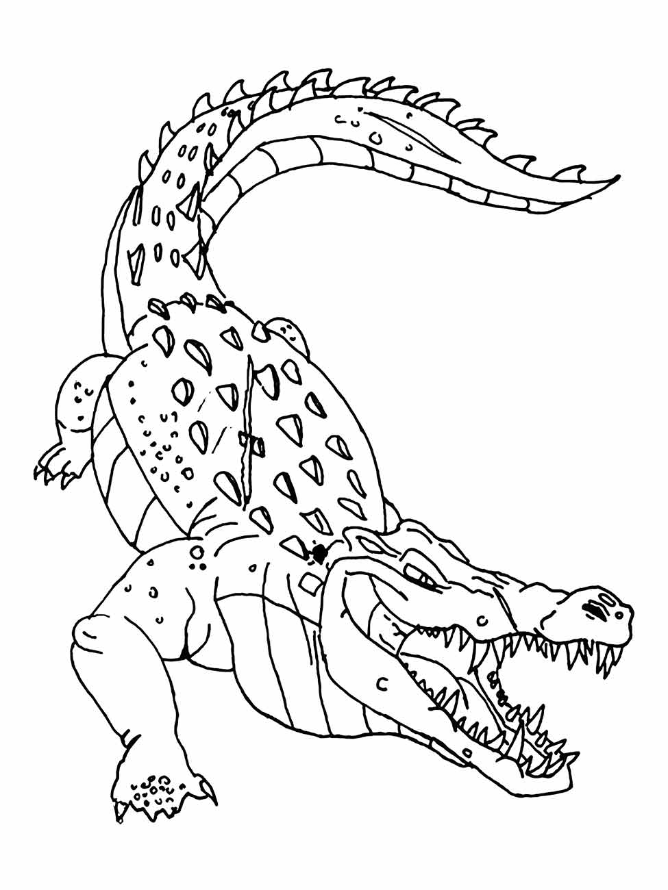 Alligator coloring page (33)