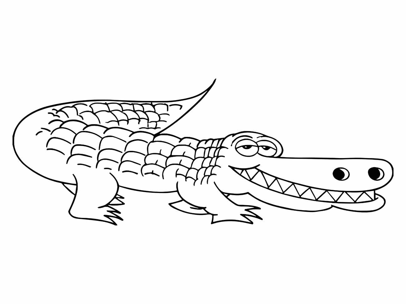 Alligator coloring page (34)