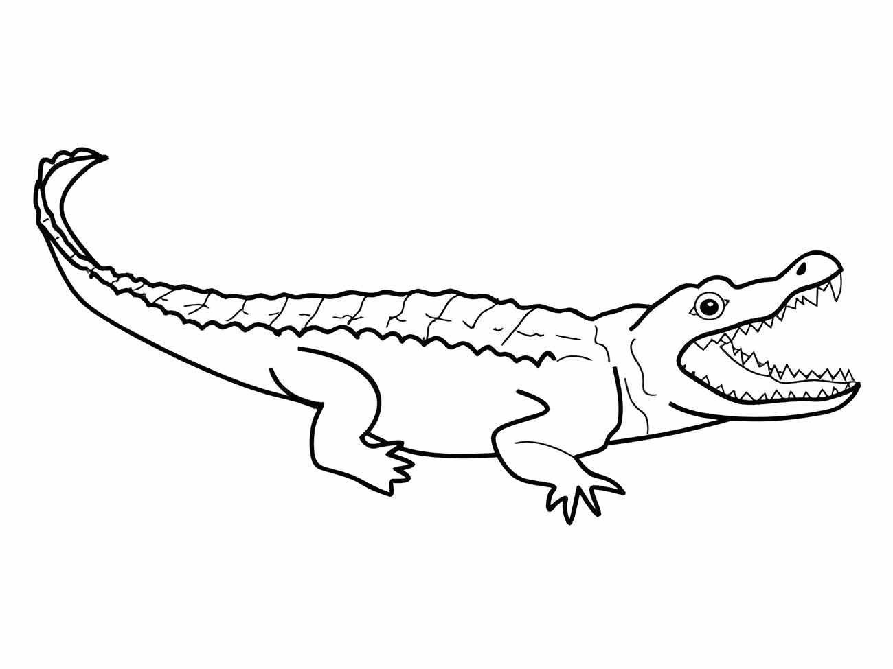 Alligator coloring page (38)