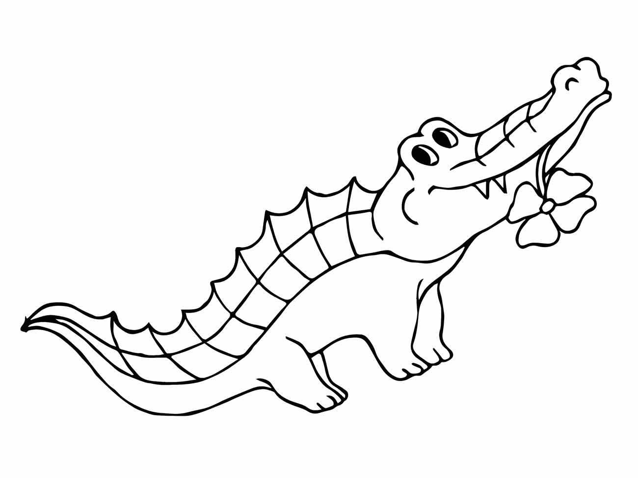 Alligator coloring page (40)