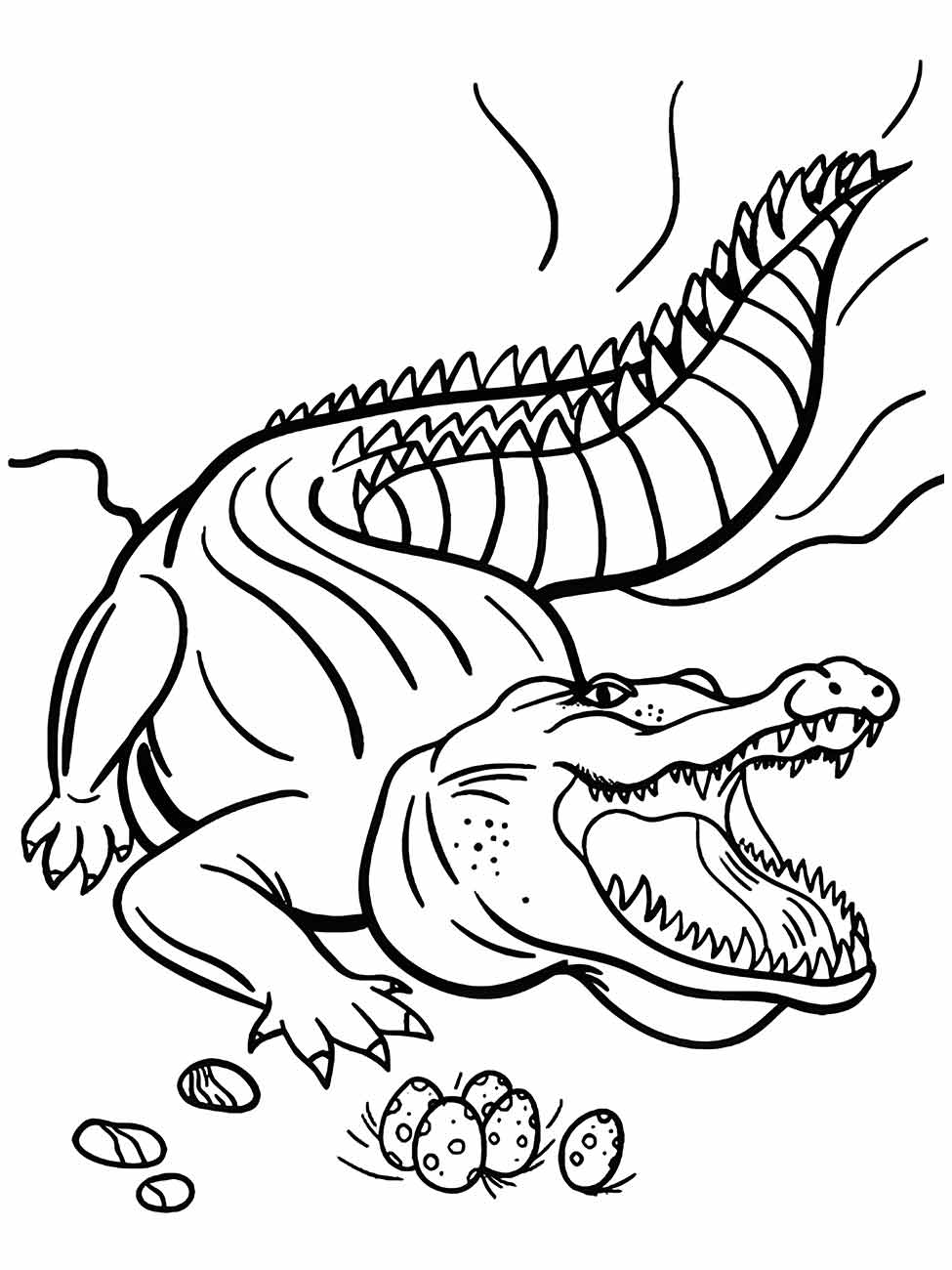 Alligator coloring page (42)