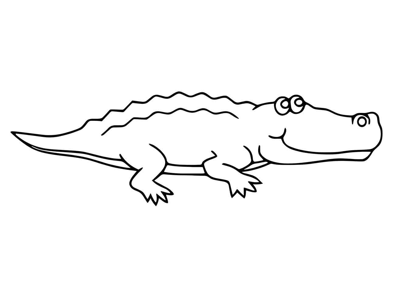 Alligator coloring page (7)