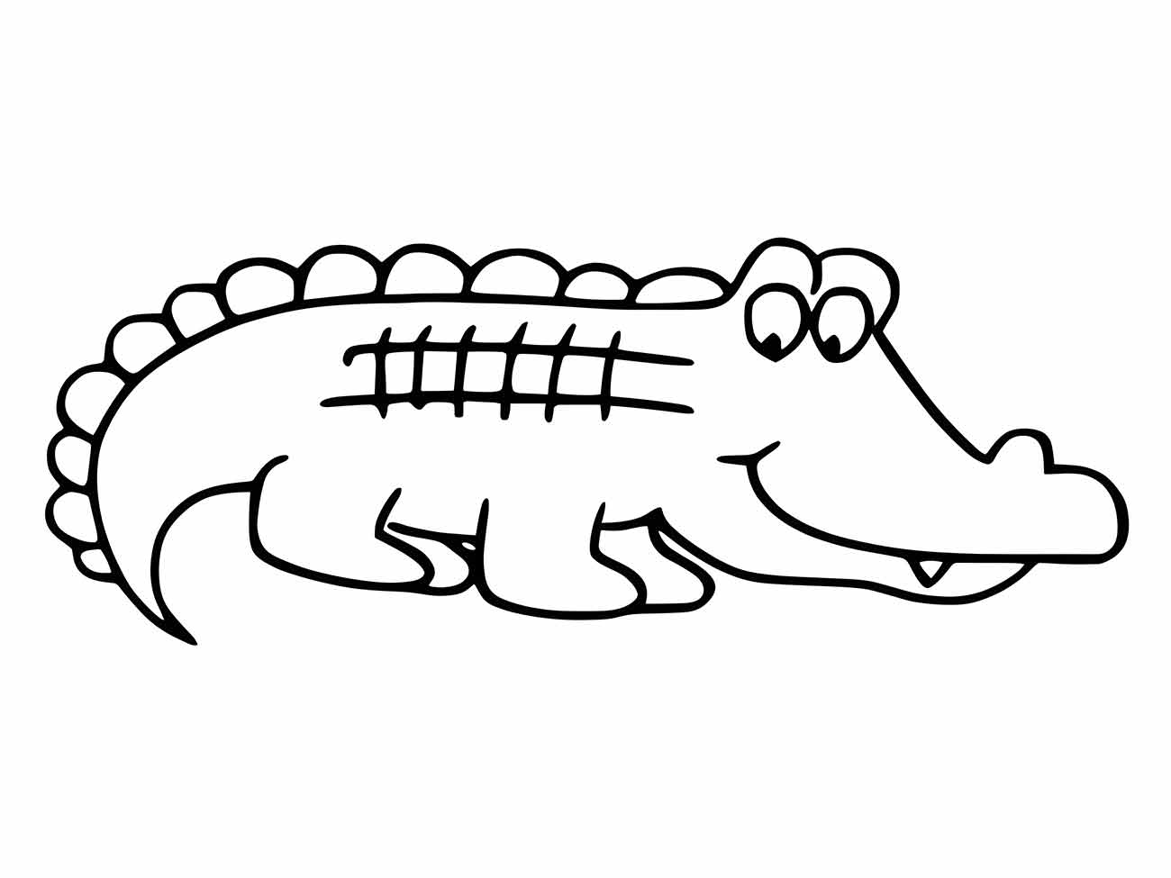 Alligator coloring page (8)