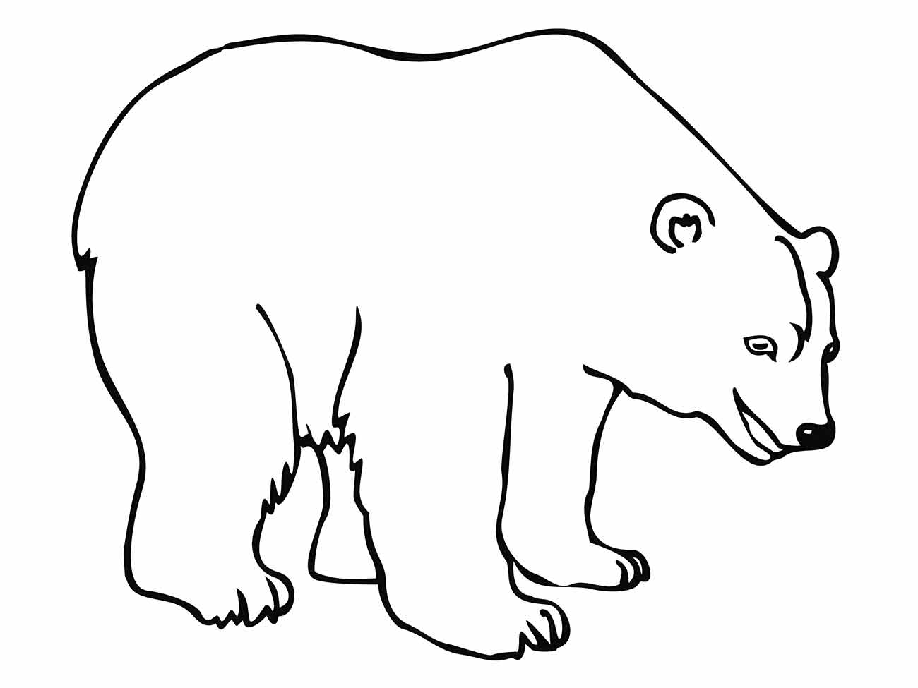 Bear coloring page (11)