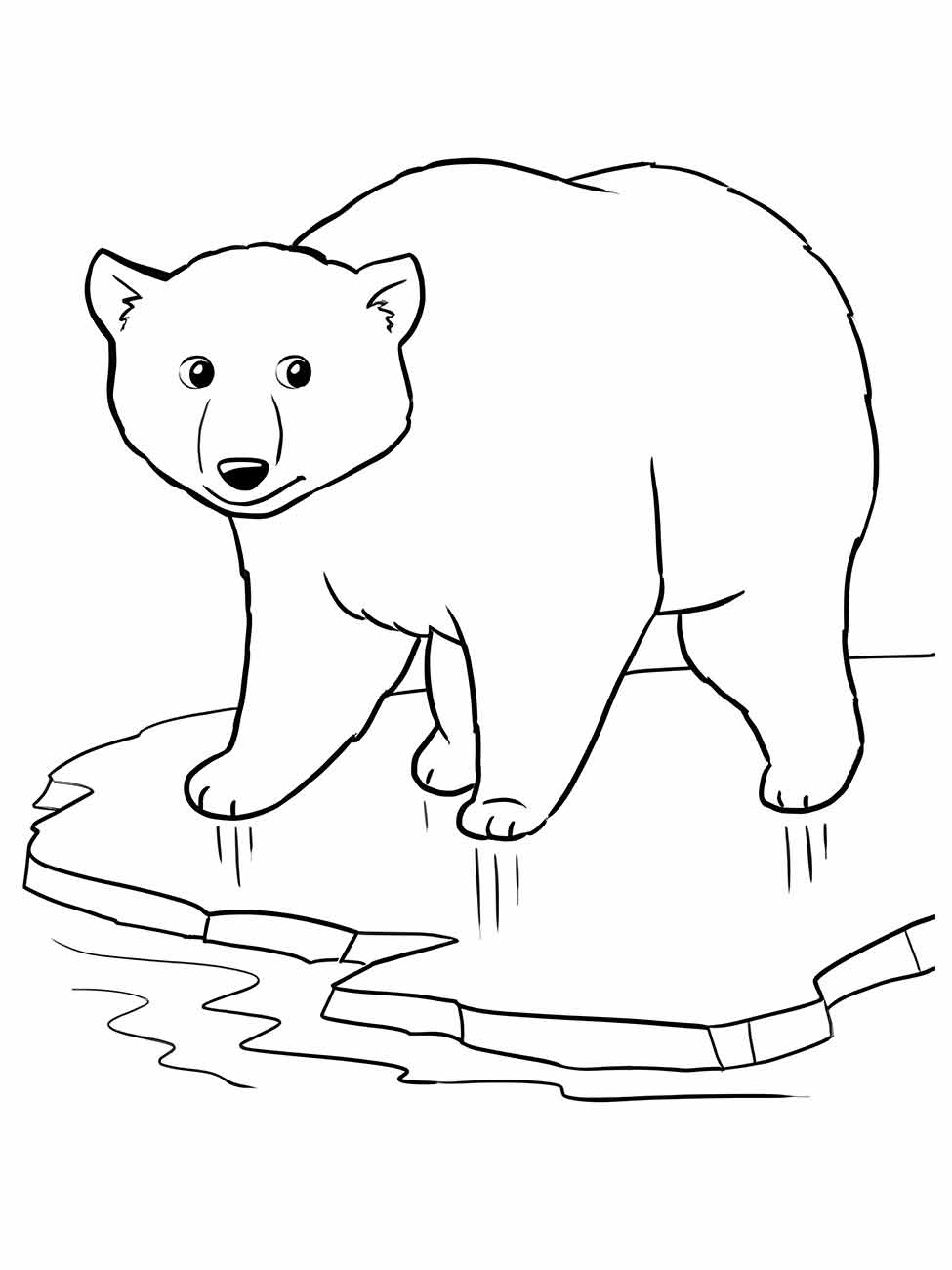 Bear coloring page (12)