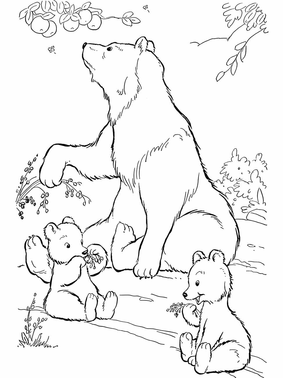 Bear coloring page (7)