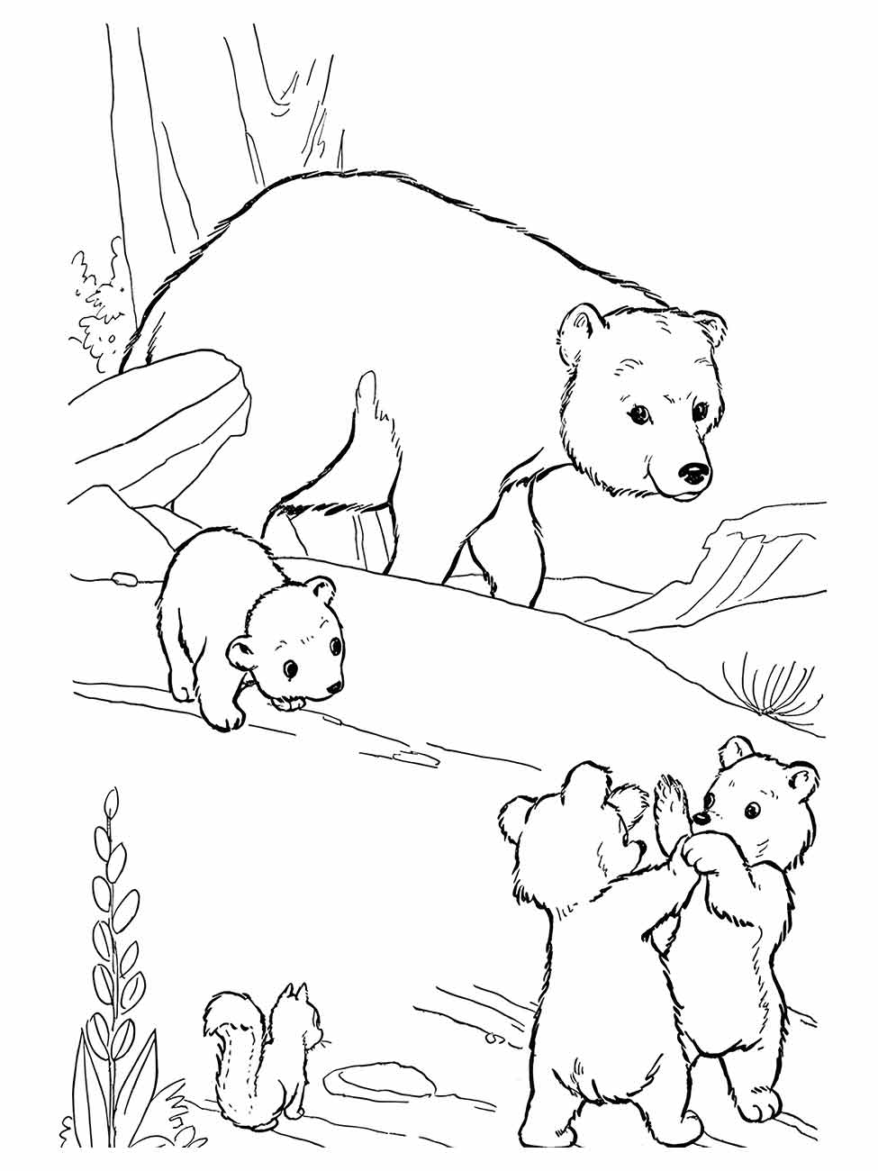 Bear coloring page (9)