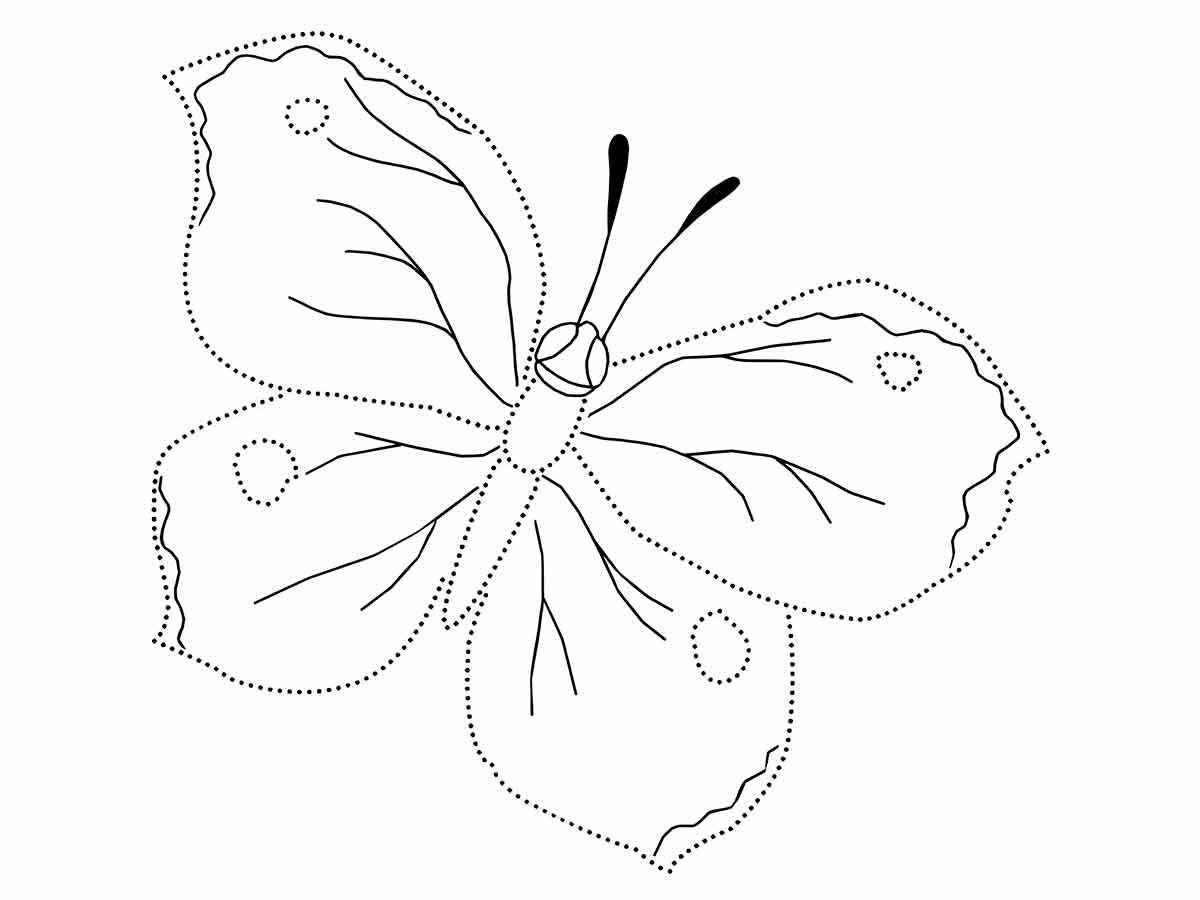 Butterflies coloring page (10)