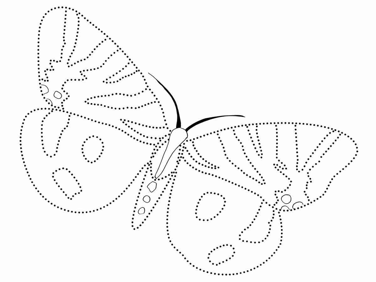 Butterflies coloring page (11)