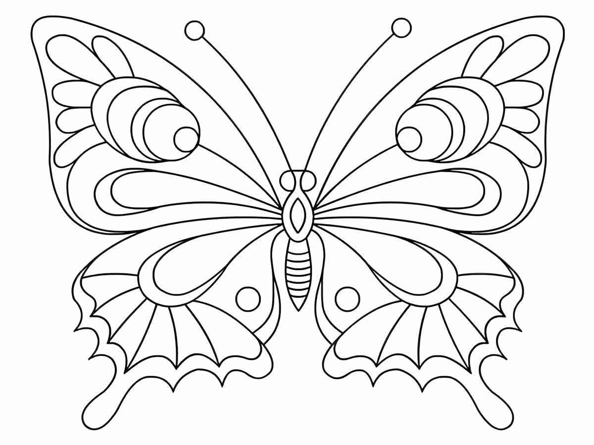 Butterflies coloring page (12)