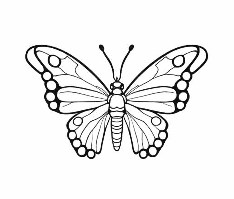 Butterflies coloring page (12)