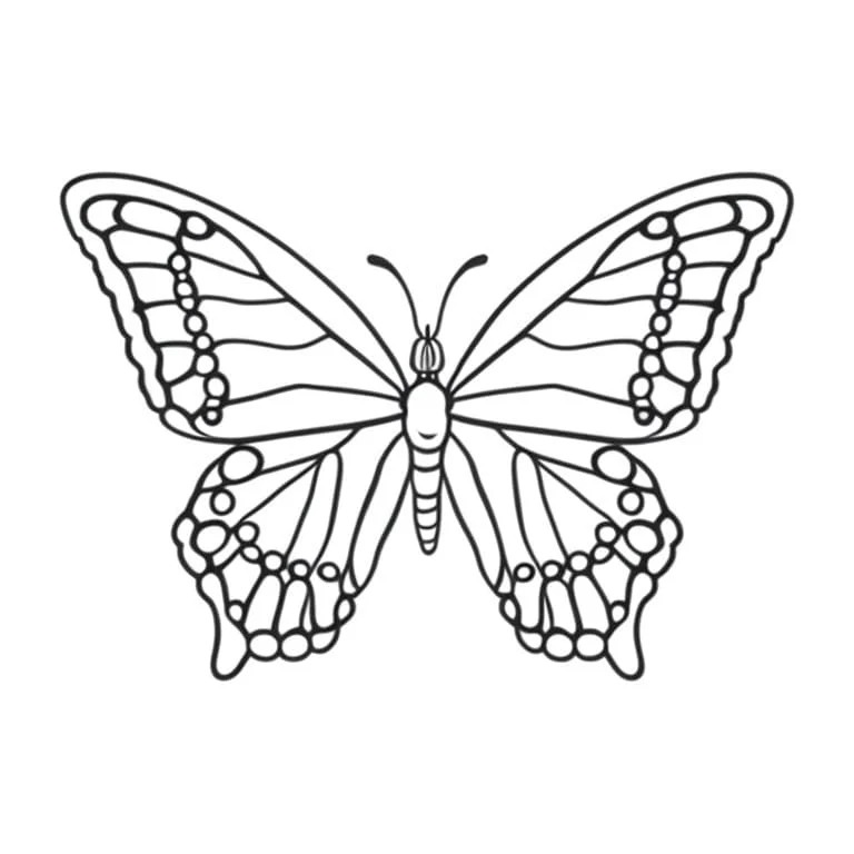 Butterflies coloring page (13)