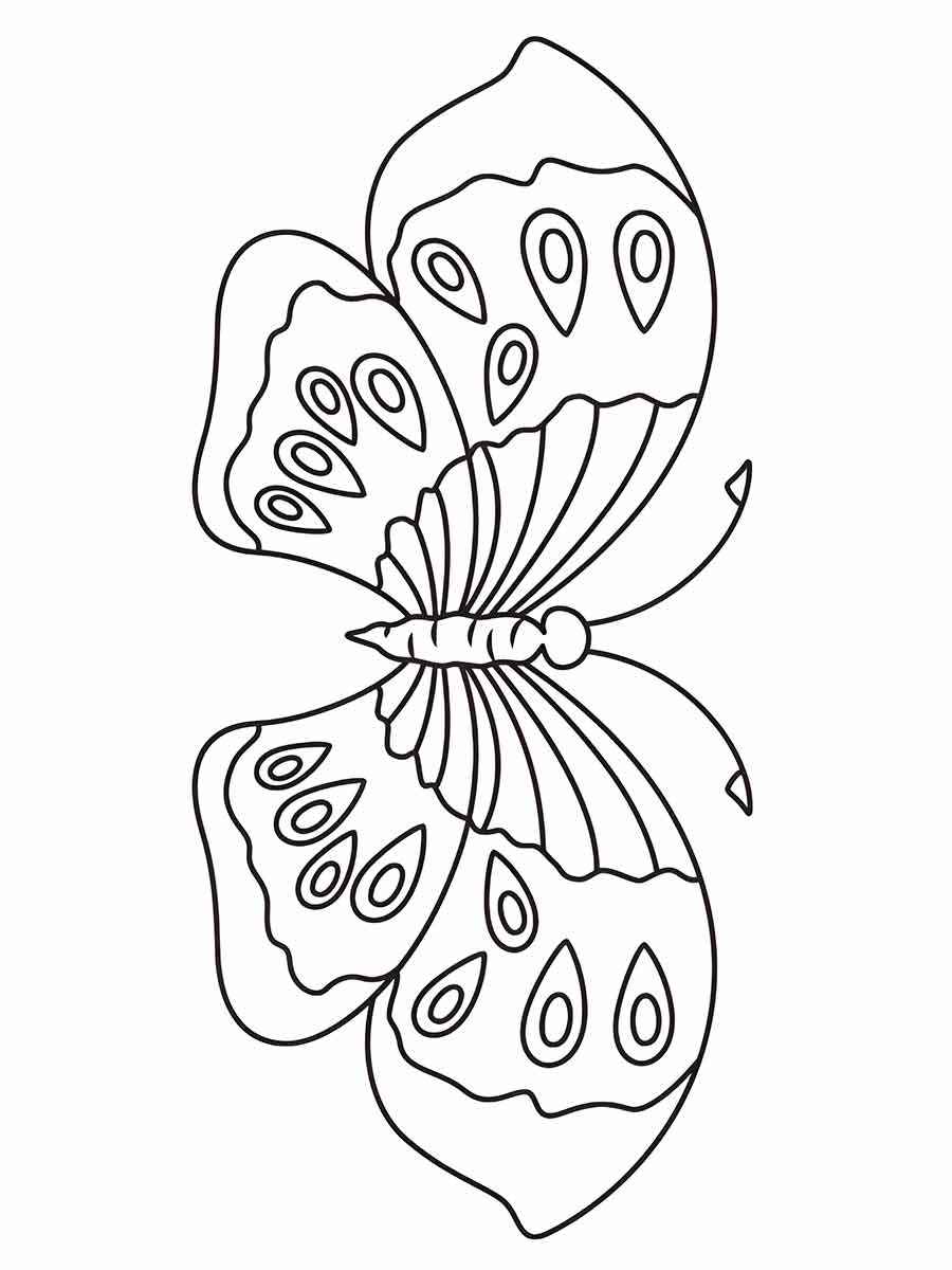 Butterflies coloring page (14)