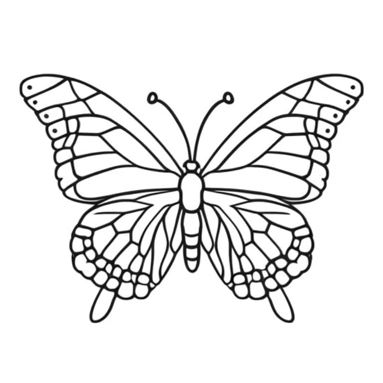 Butterflies coloring page (14)