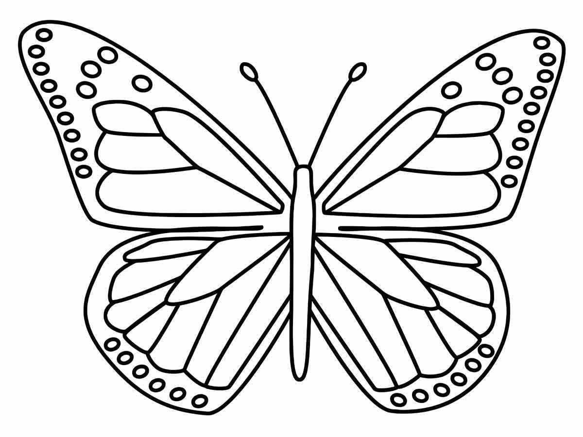 Butterflies coloring page (15)