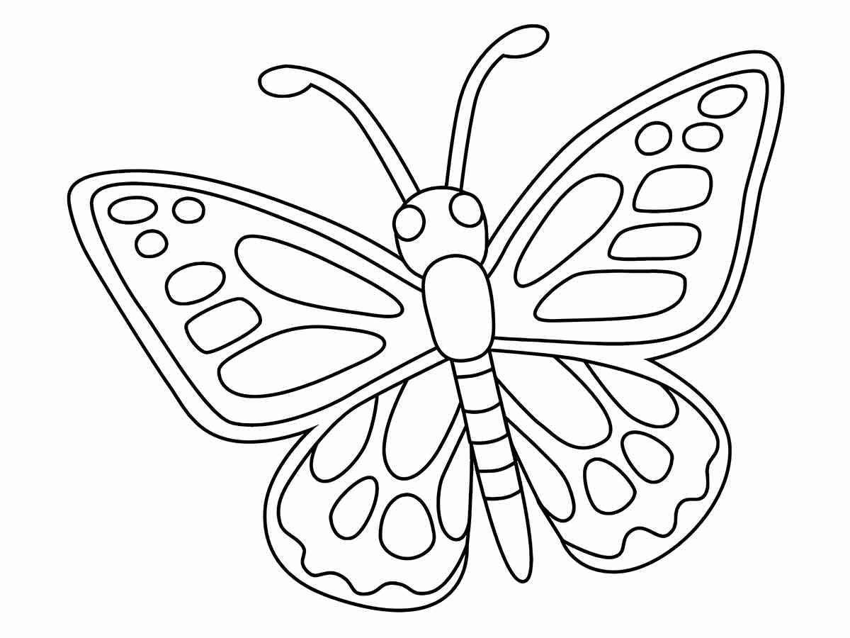 Butterflies coloring page (16)