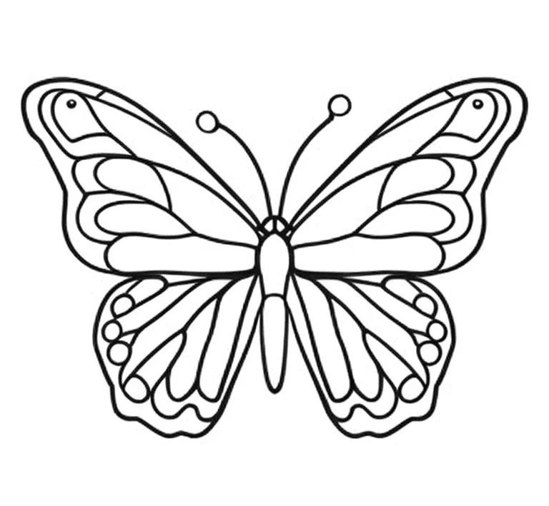 Butterflies coloring page (16)