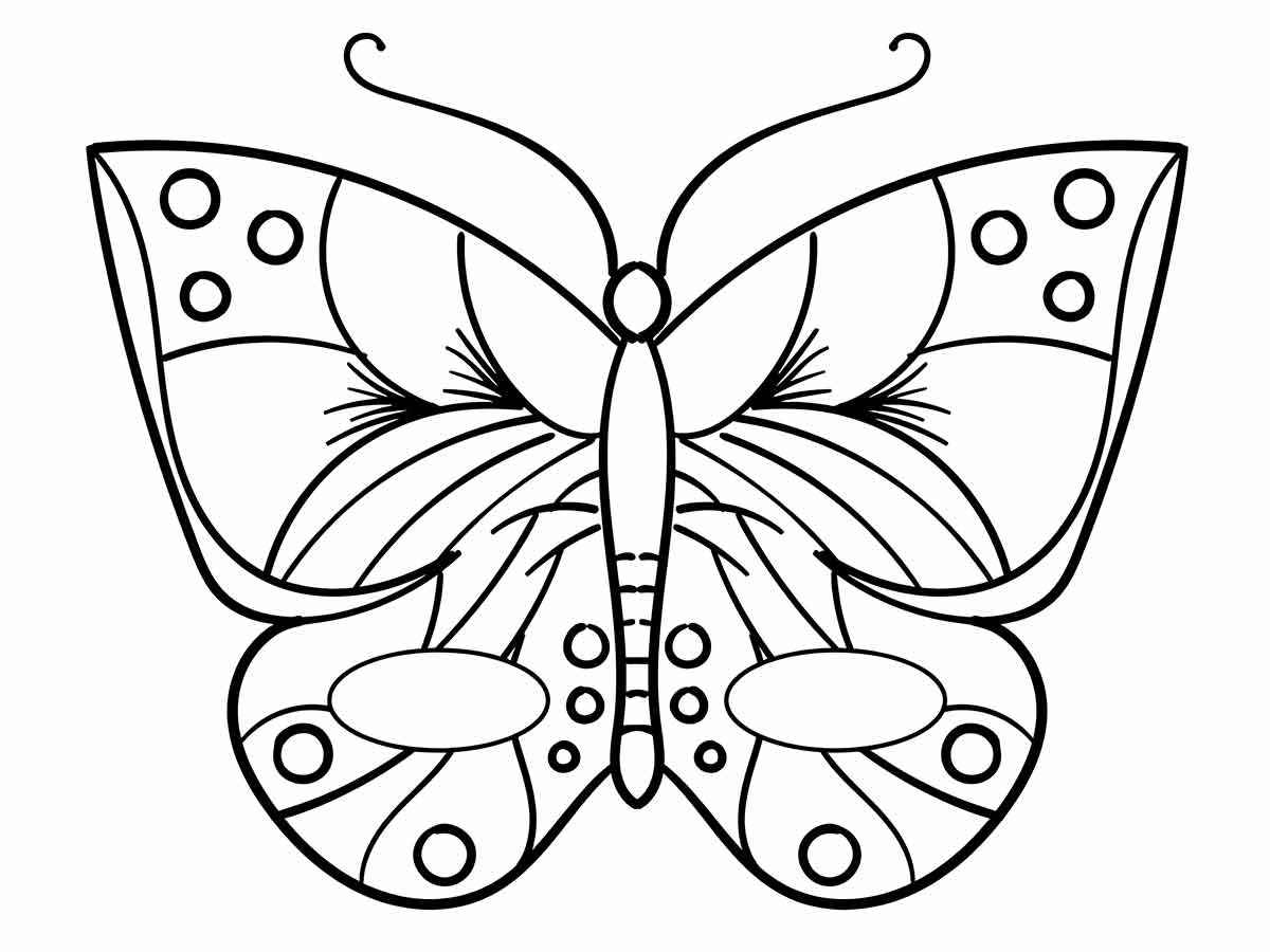 Butterflies coloring page (17)