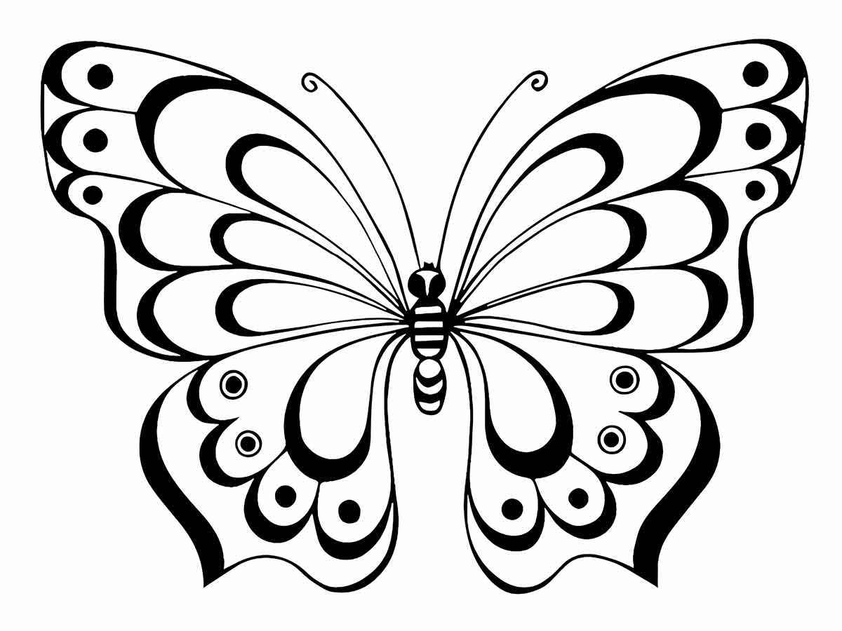 Butterflies coloring page (18)