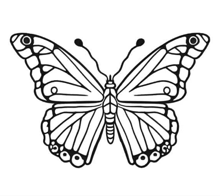 Butterflies coloring page (2)