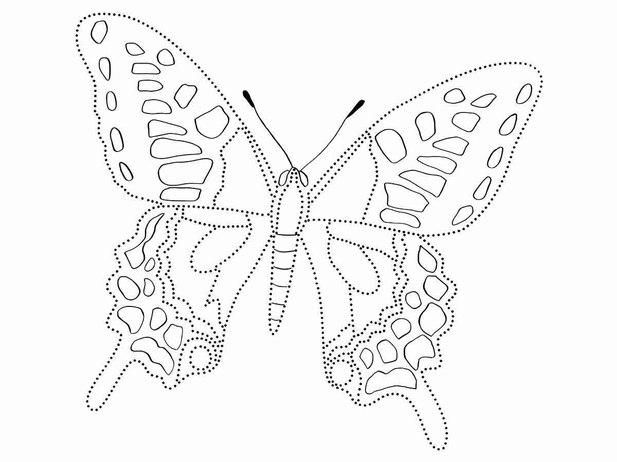 Butterflies coloring page (21)