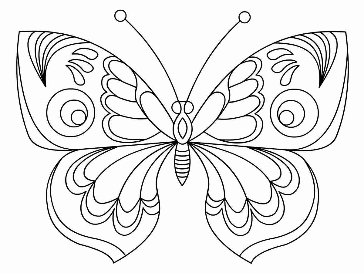 Butterflies coloring page (23)