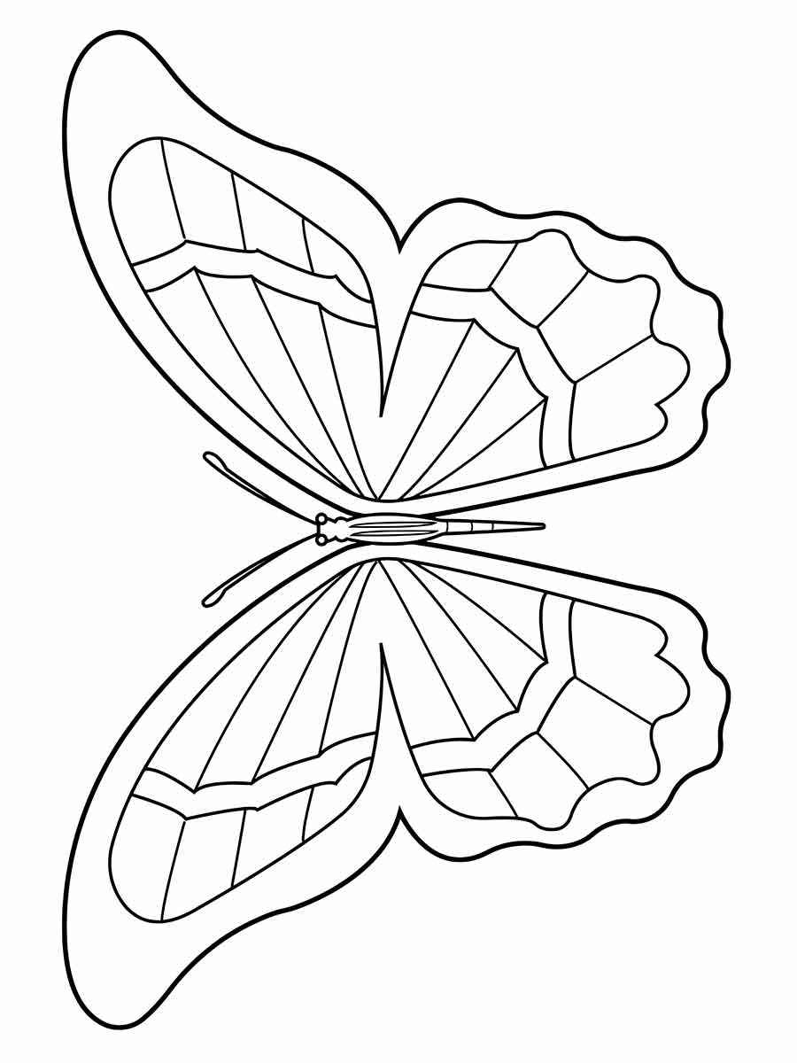 Butterflies coloring page (3)