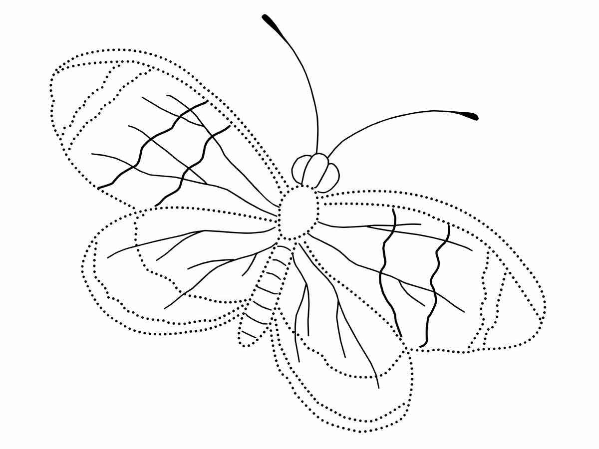 Butterflies coloring page (37)