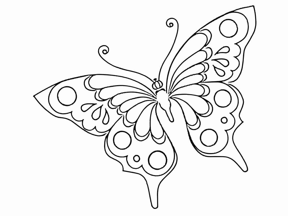 Butterflies coloring page (40)