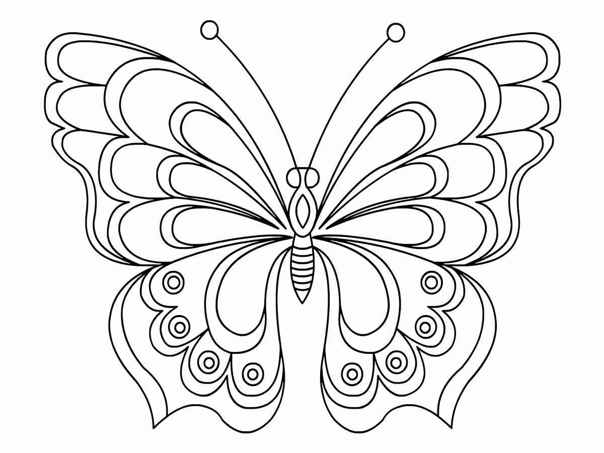 Butterflies coloring page (56)