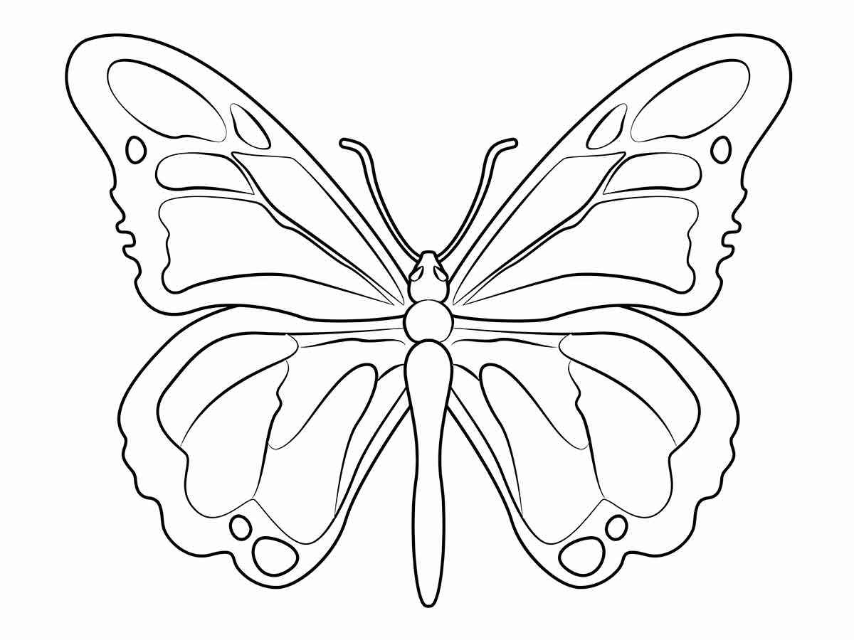 Butterflies coloring page (6)