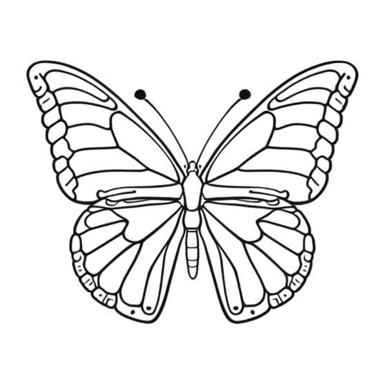 Butterflies coloring page (6)