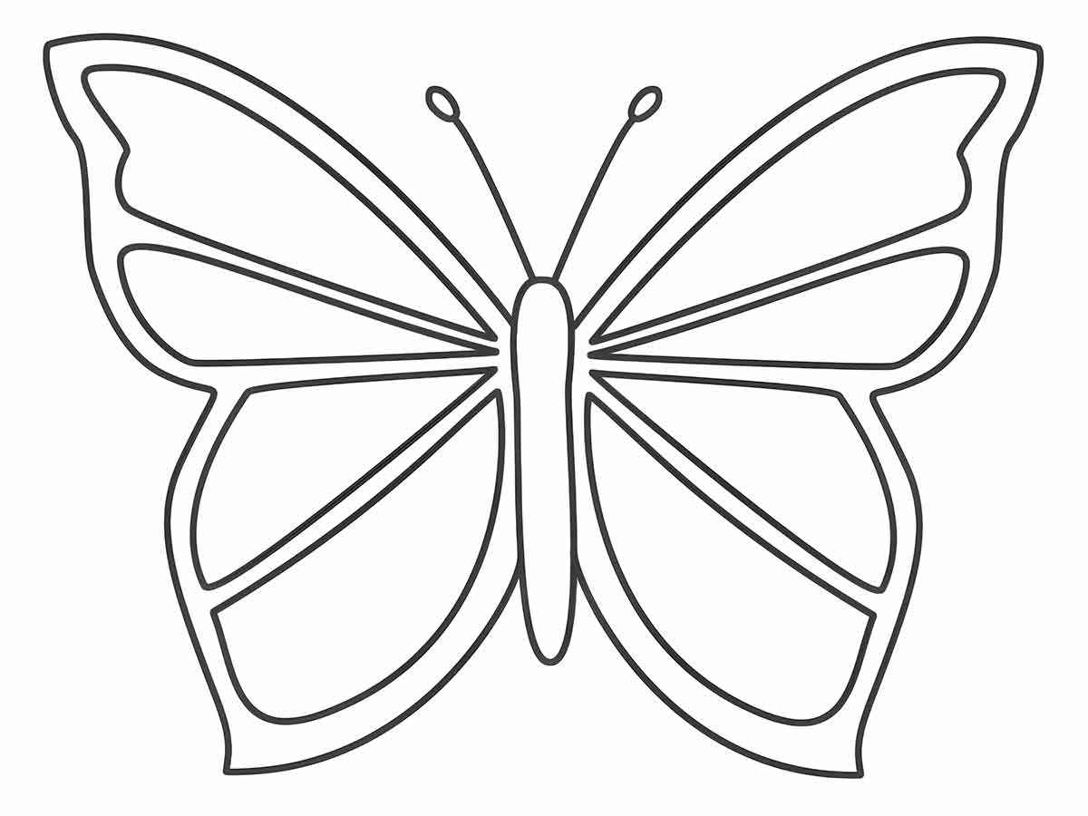 Butterflies coloring page (7)