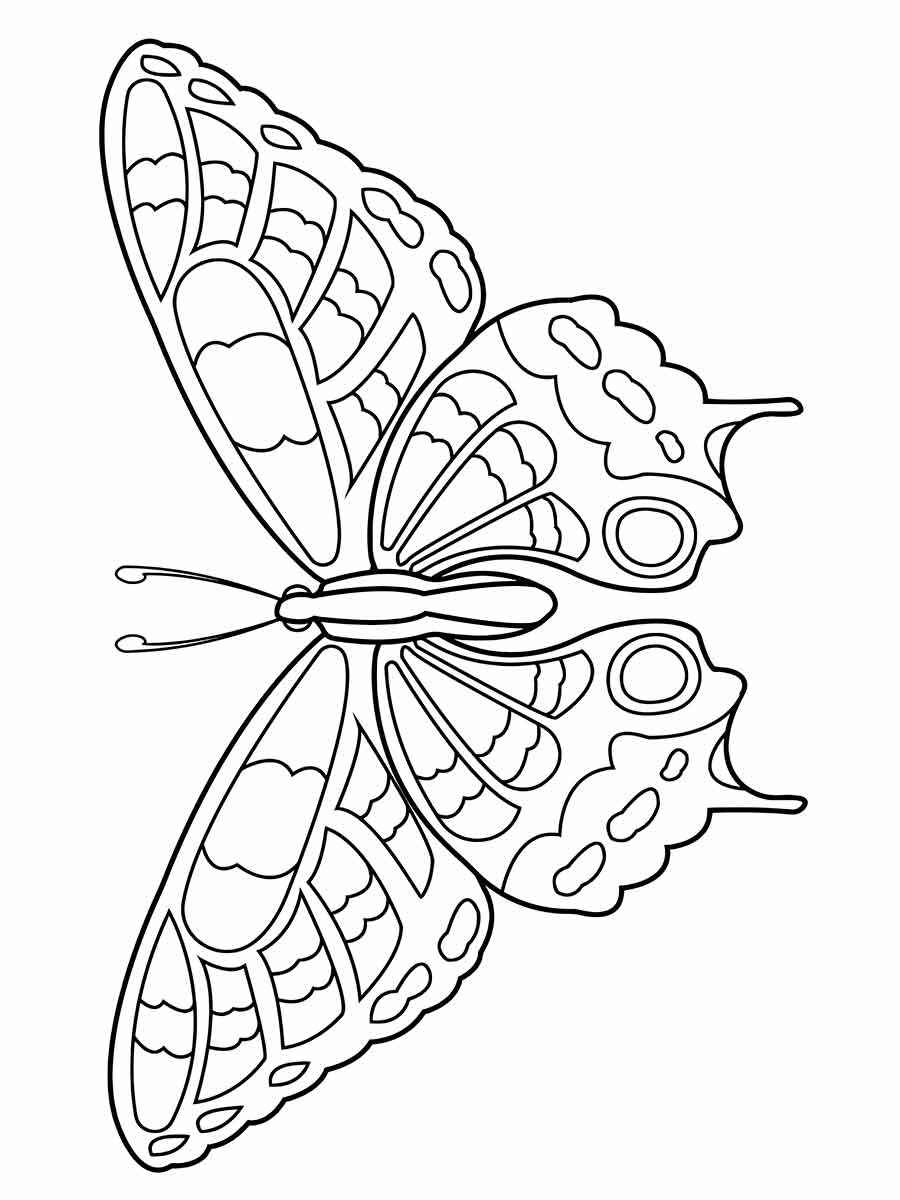 Butterflies coloring page (71)